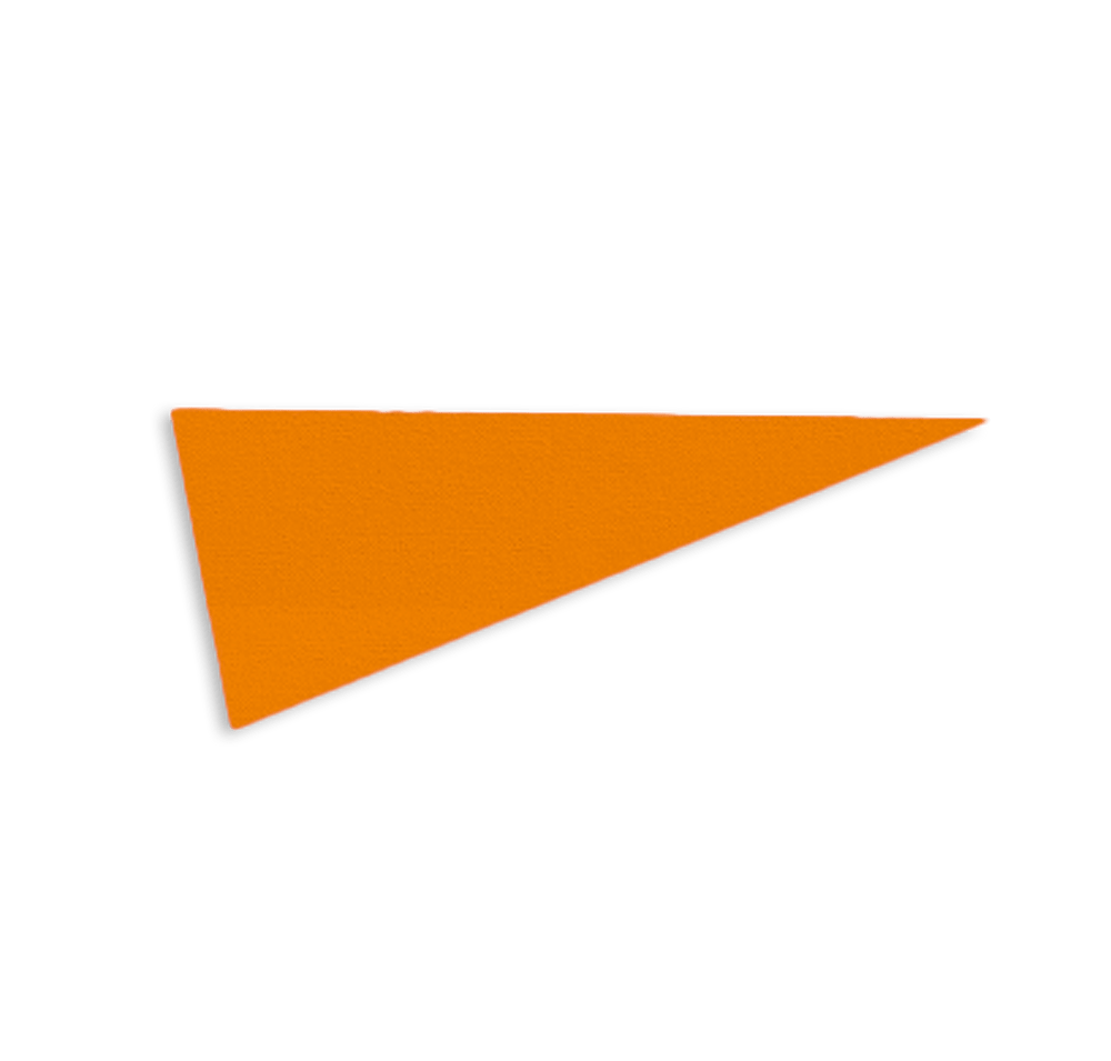 9" x 24" Felt Pennant-default