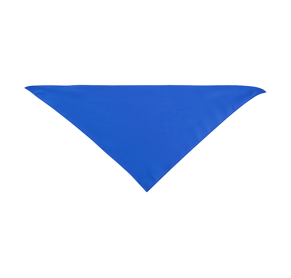 Large Triangle Recycled Pet Bandana-default