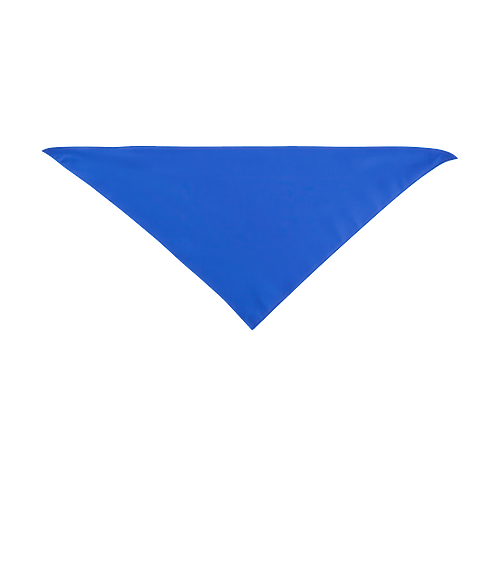 Large Triangle Recycled Pet Bandana in Blue