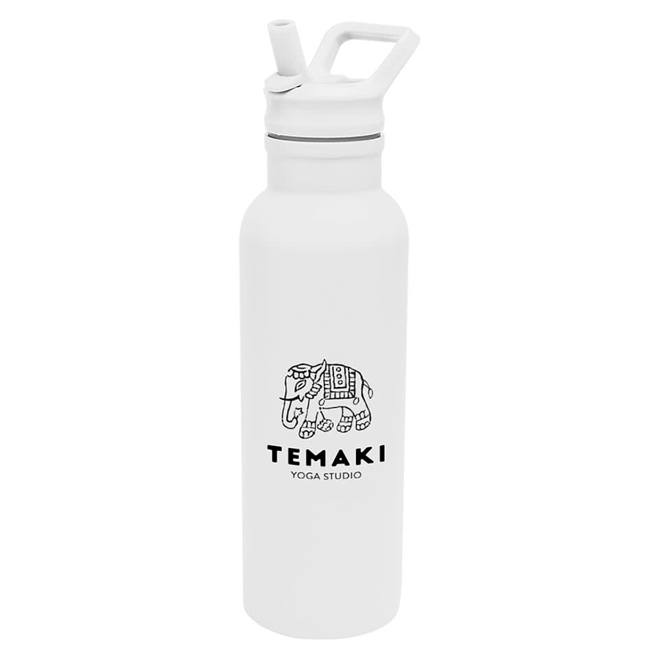 17 oz. Hailey Recycled Stainless Steel Water Bottle