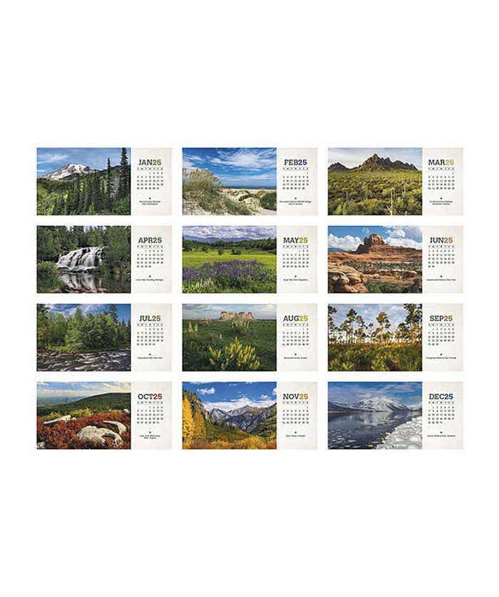 American Splendor Spiral Monthly Desk Calendar