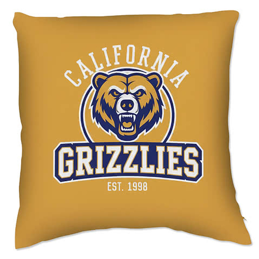 Full Color 18" x 18" Single-Sided Throw Pillow in White