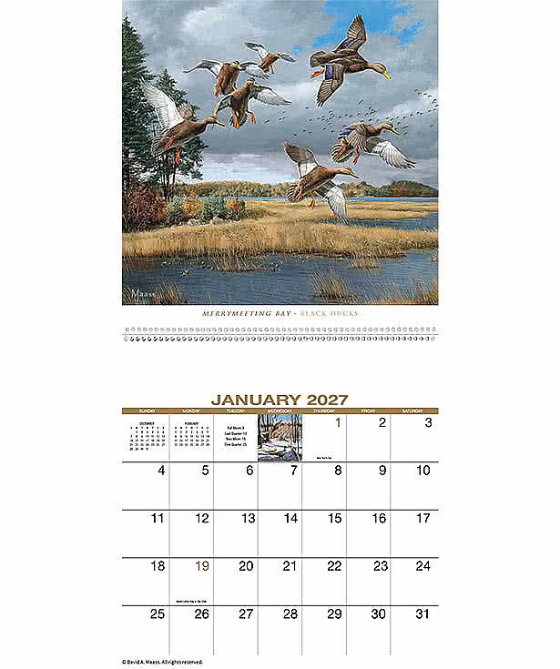 David Maass Executive Spiral Wall Calendar