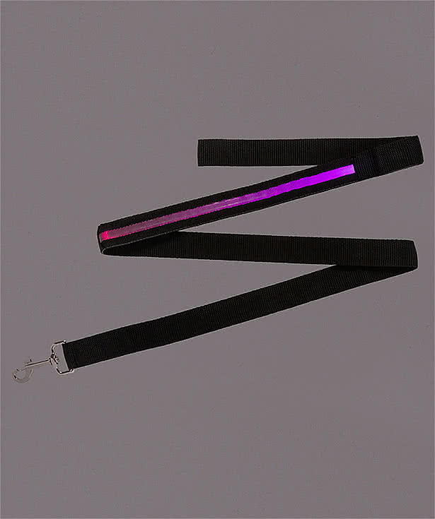Rechargeable LED Light-Up Dog Leash