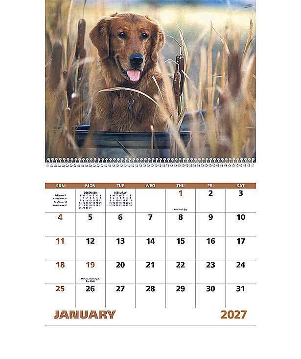 Sporting Dogs Spiral Wall Calendar