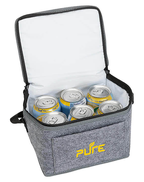 Andes 6 Can Cooler Lunch Bag