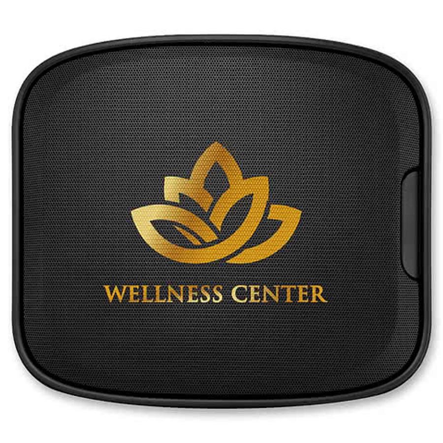 Next Level Wireless Wall Speaker in BLACK