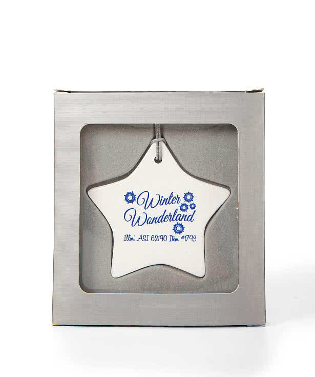 Star Ceramic Ornament