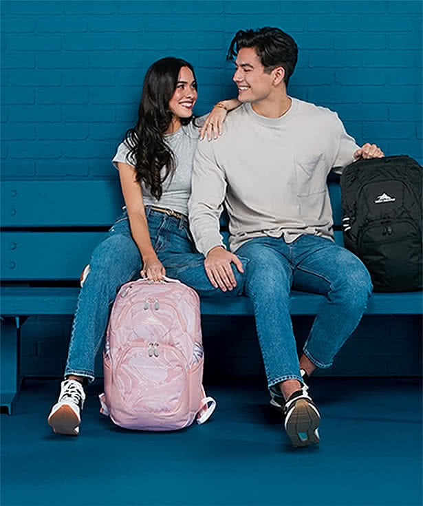 Full Color High Sierra Swoop SG 17" Computer Backpack