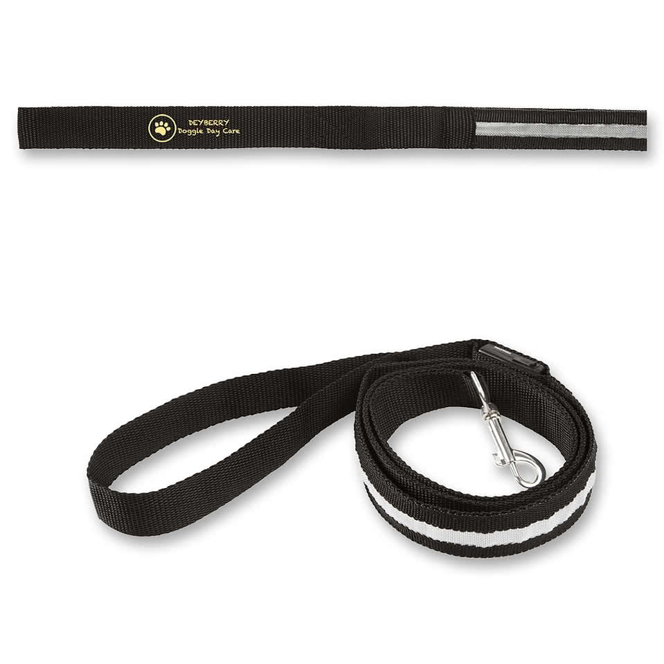 Rechargeable LED Light-Up Dog Leash