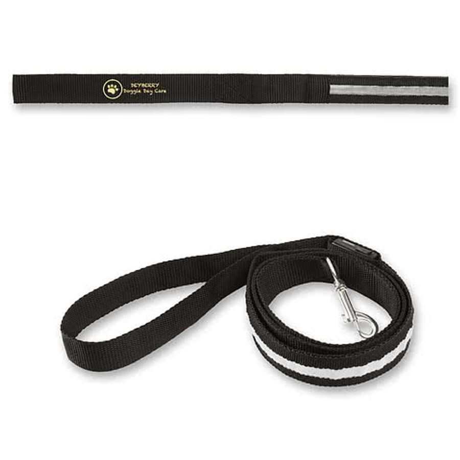 Rechargeable LED Light-Up Dog Leash in Grey