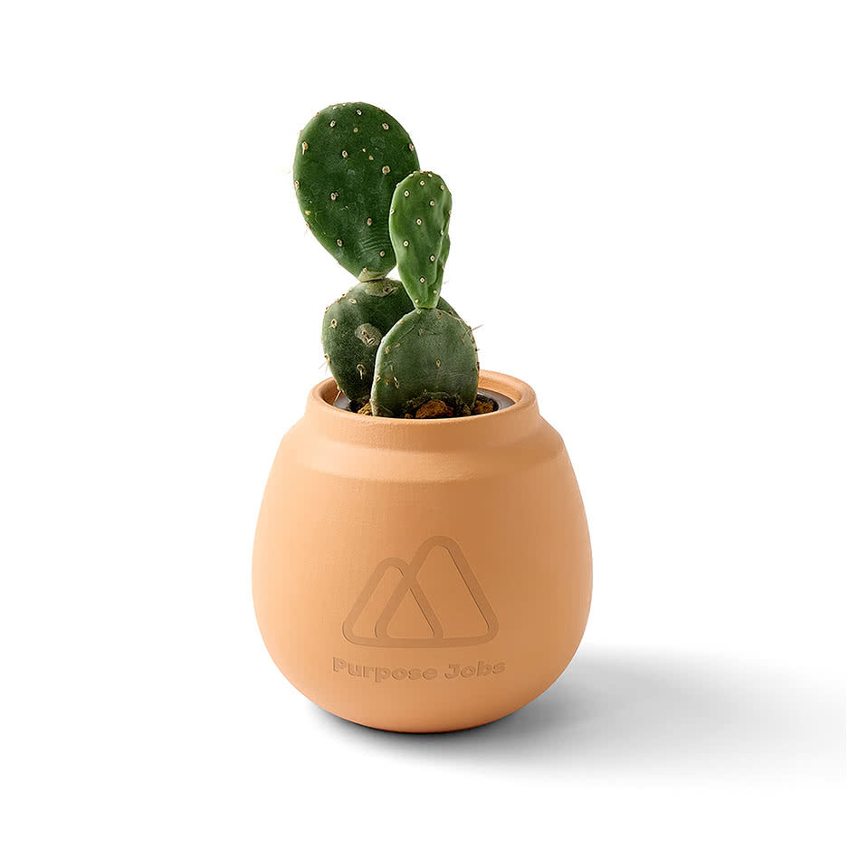 Laser Engraved Modern Sprout Modern Terracotta Cactus Grow Kit