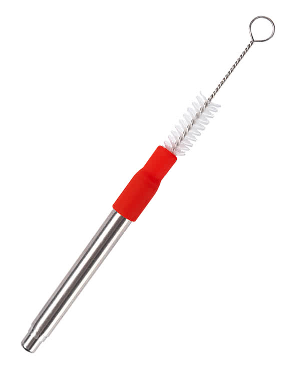 Collapsible Stainless Steel Straw Kit