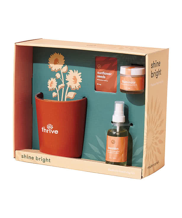 Modern Sprout Shine Bright Sunflower Take Care Kit