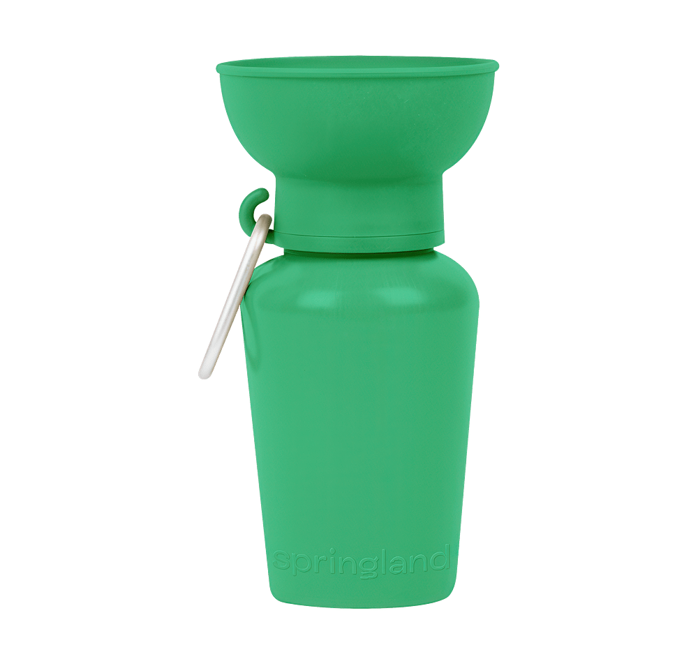 Springland Pet 20 oz. Flip Travel Water Bottle-default