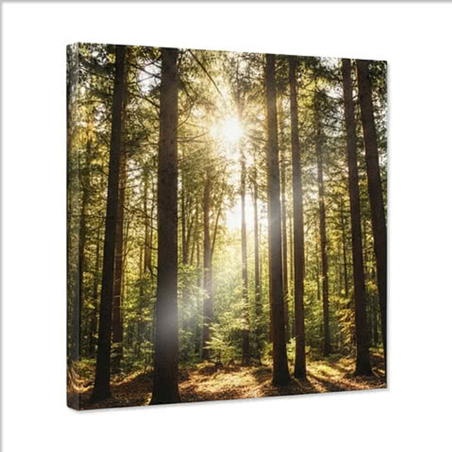 Full Color 12" x 12" Square Foam Wall Tile in White