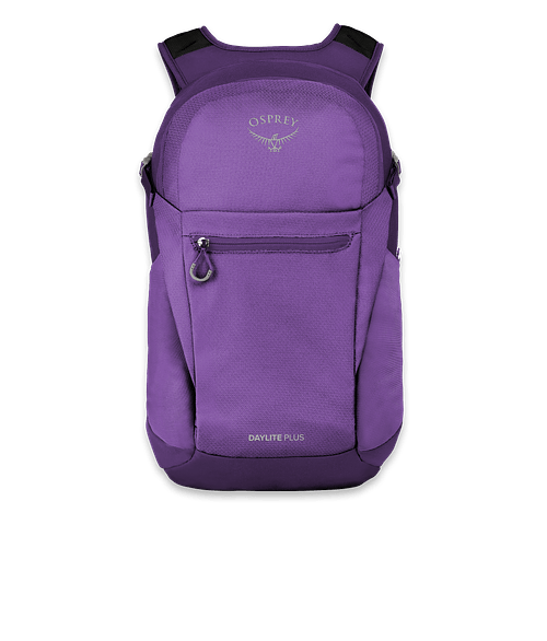osprey office backpack