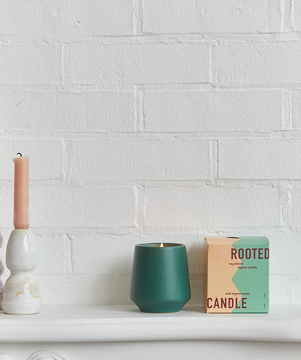 Modern Sprout Rooted Candle Herb Grow Kit