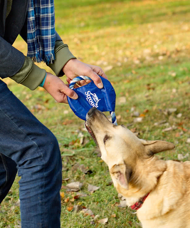 Fetch-It Dog Toy