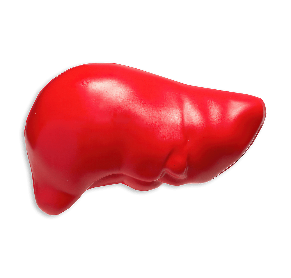 Liver Stress Reliever-default