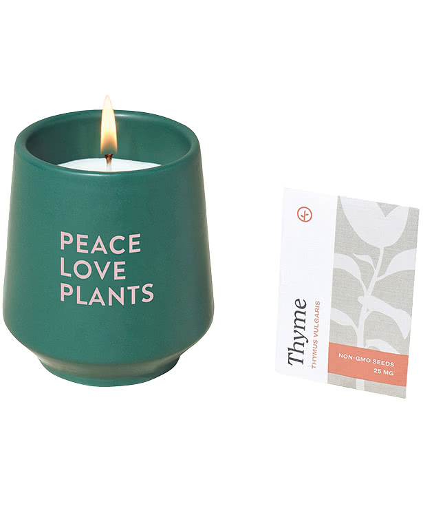 Modern Sprout Rooted Candle Herb Grow Kit