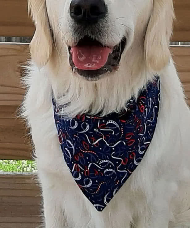 Full Color 16" x 16" Dog Bandana