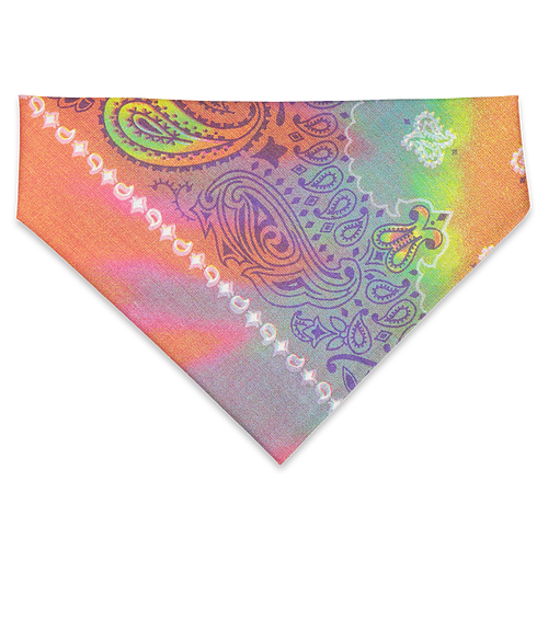 Doggie Skins USA-Made 100% Cotton Pet Bandana (Corner Design) in Tie Dye Paisley