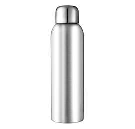 28 oz. Guzzle Stainless Steel Sports Bottle - Color: Silver