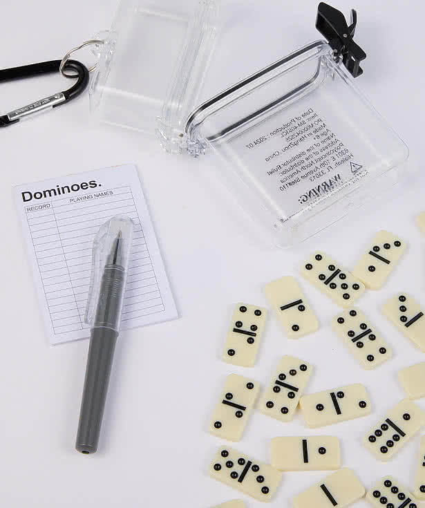 On-The-Go Dominoes Set