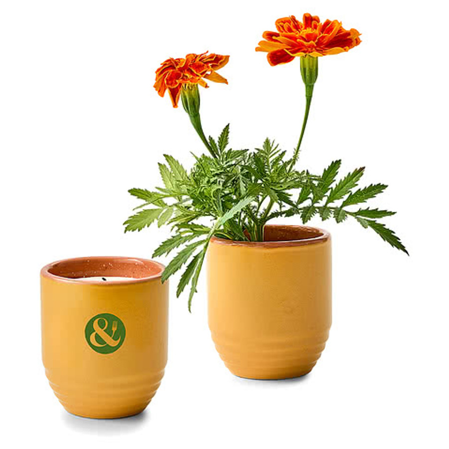 Modern Sprout Garden Vibes Candle and Planter Set in In The Weeds/Mint