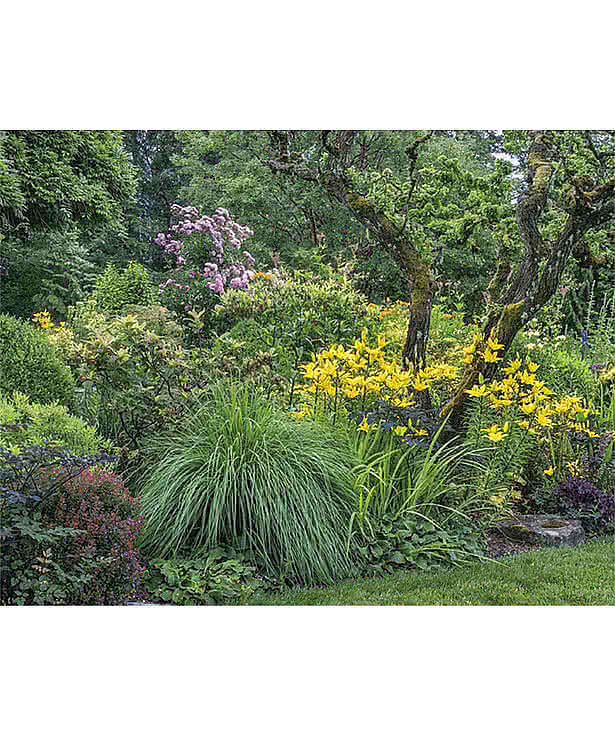 Garden Walk Wall Calendar