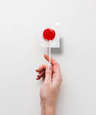 Individually Wrapped Fruit Flavored Lollipops
