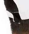 Nike Swoosh Legacy Performance Hat