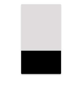 2" x 3.5" Vertical Clear Plastic Business Cards - Color: Clear / Black