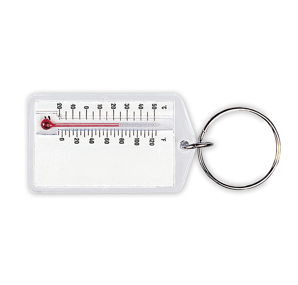 Temperature Keychain-default