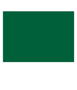 Full Color 10' Single Sided Tent Wall - Color: Forest Green