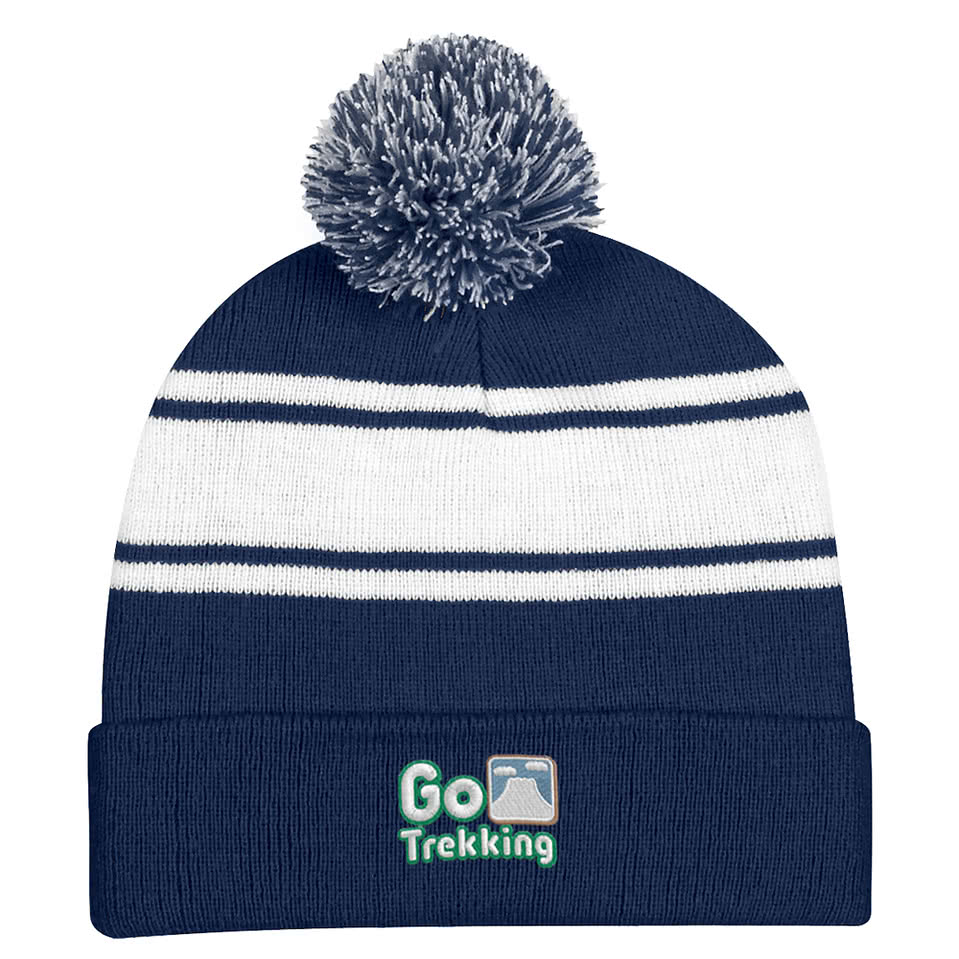 Two-Tone Pom Pom Knit Beanie