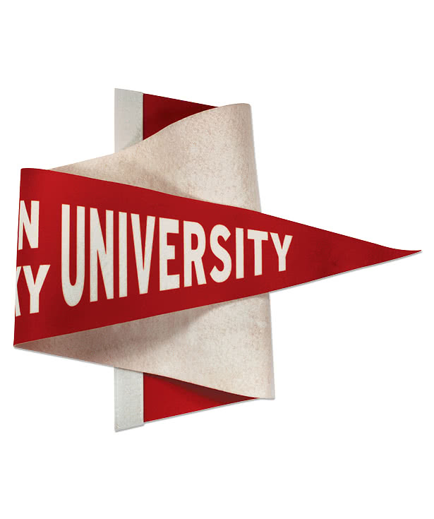 Full Color 8" x 18" Soft Felt Pennant