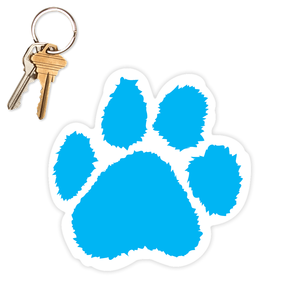 5.5 in. x 5.5 in. Paw Print Car Magnet-default