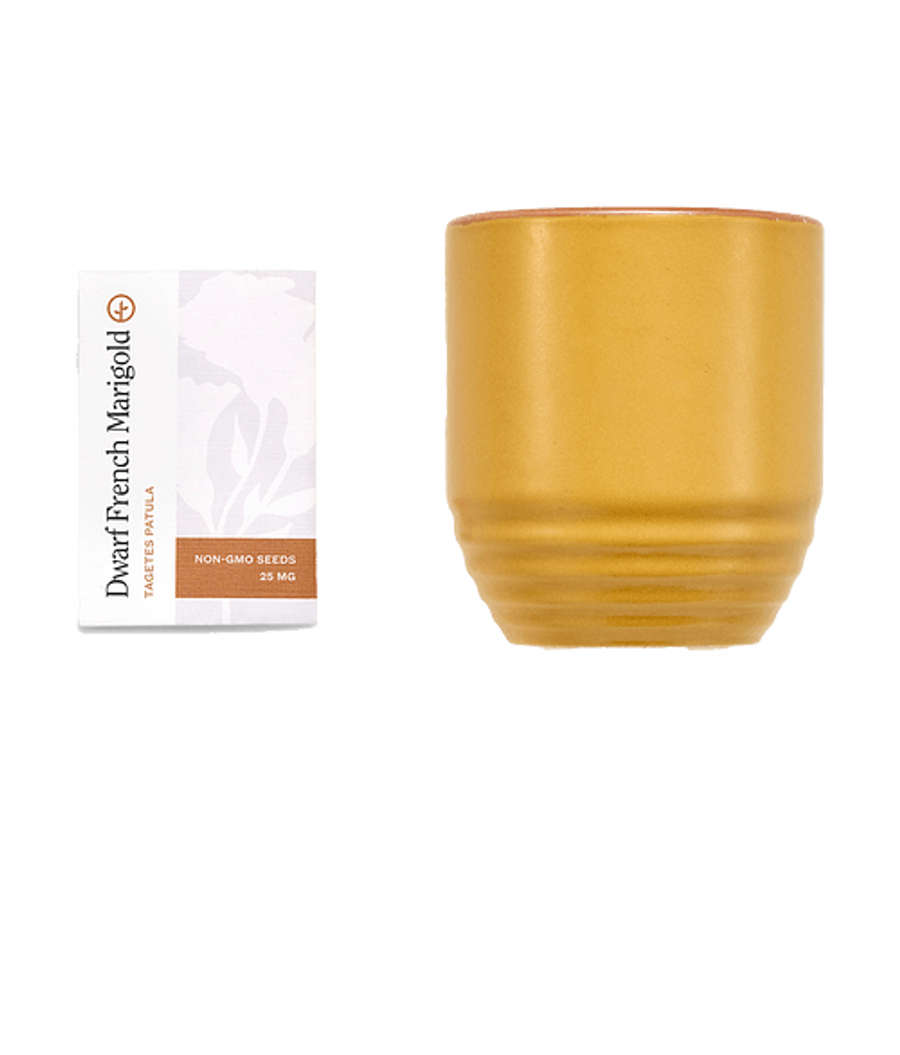 Modern Sprout Garden Vibes Candle and Planter Set in Last Light/Marigold