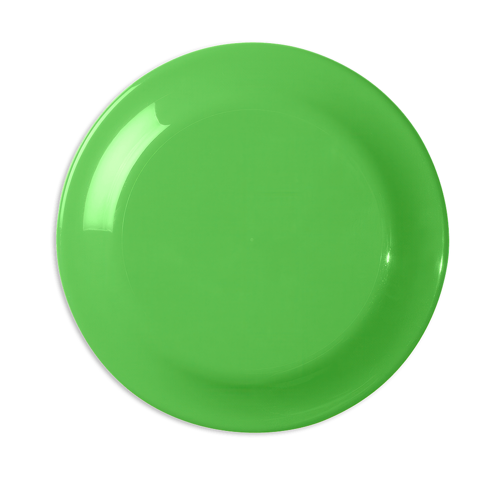 Large Fun Flying Disc-default