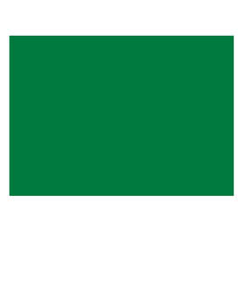 Full Color 10' Single Sided Tent Wall - Color: Kelly Green