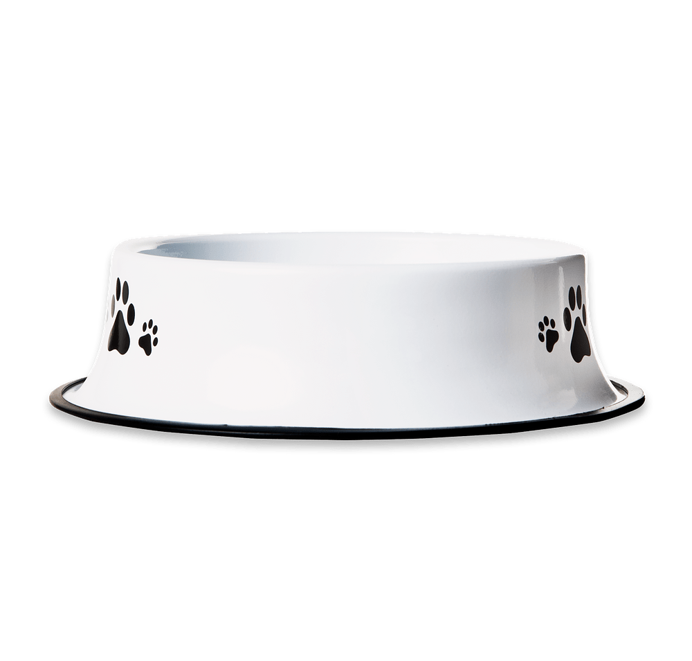 Stainless Steel Pet Bowl-default