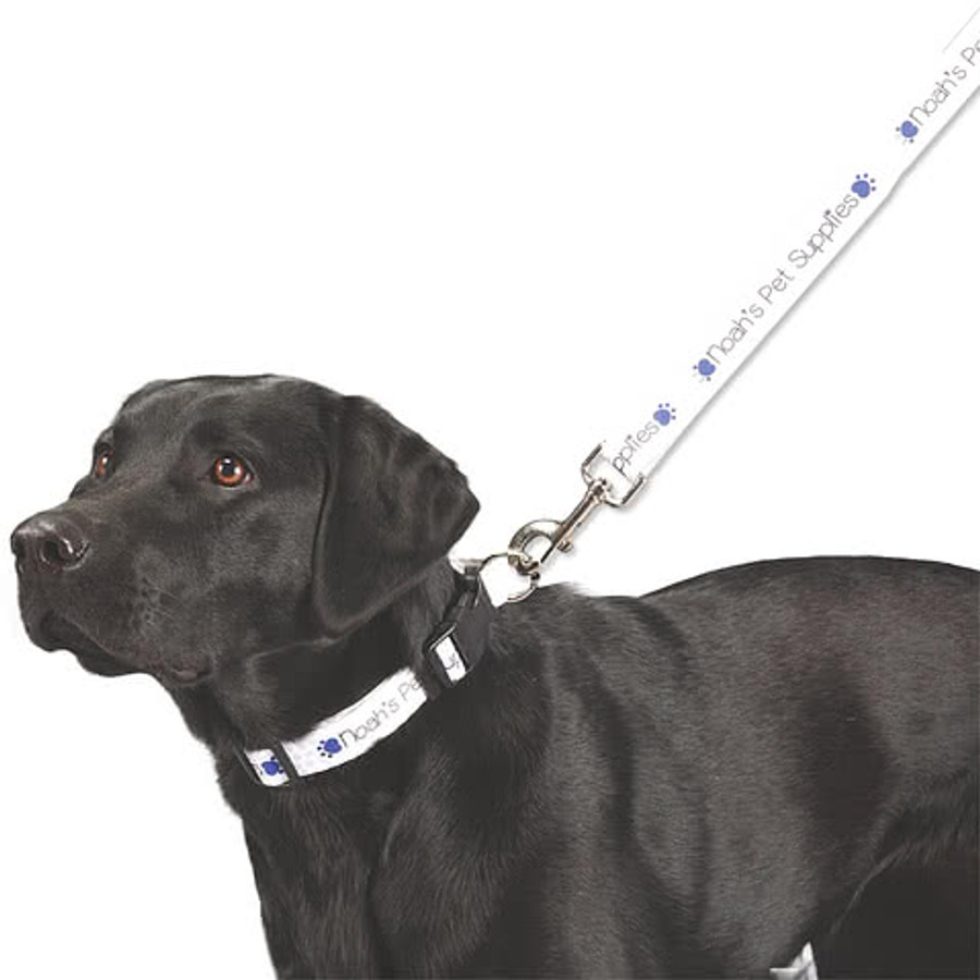 Full Color 5 ft. Premium Pet Leash, 1" Wide in Green