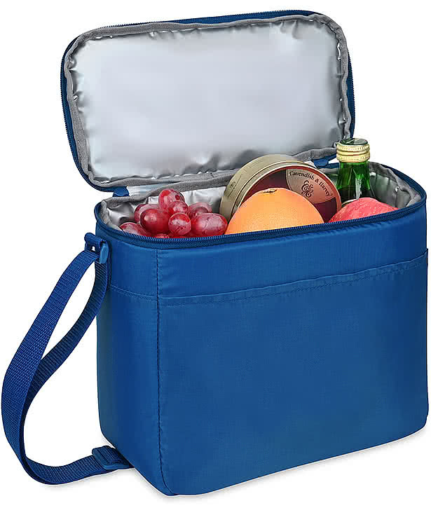 Arlo Recycled 9 Can Box Cooler