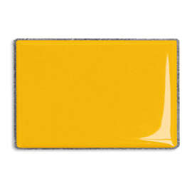 Rectangular Lapel Pin - Color: Athletic Gold / Silver