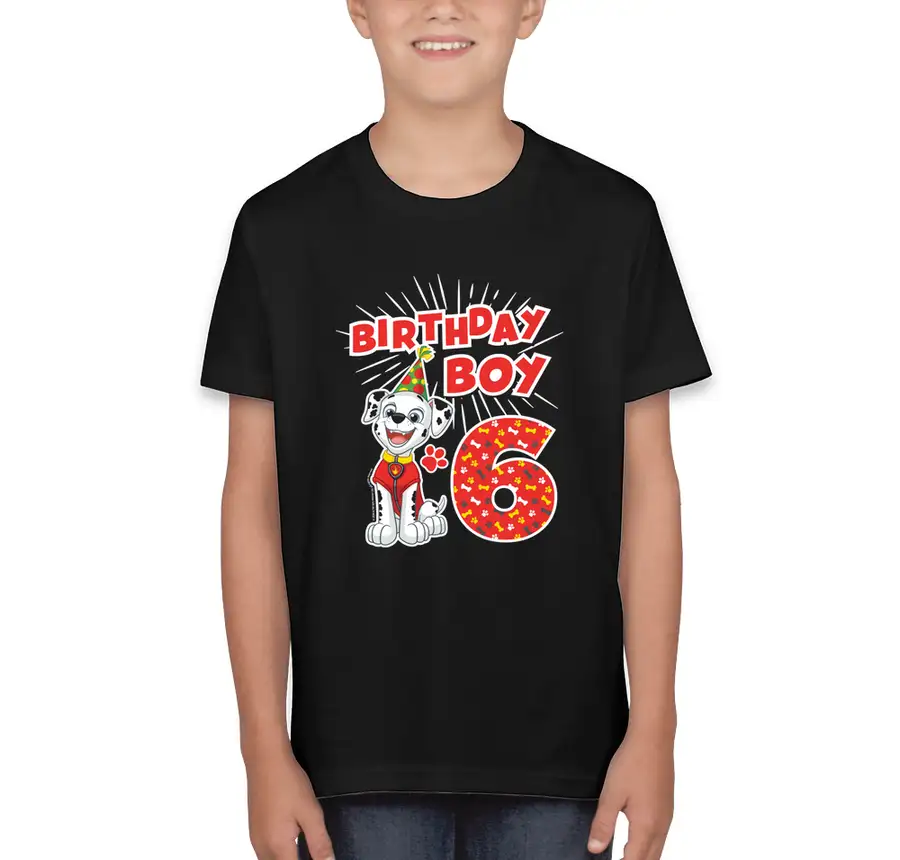 Paw Patrol - Birthday Boy Marshall - 6th Birthday - Bella + Canvas Youth Jersey T-shirt