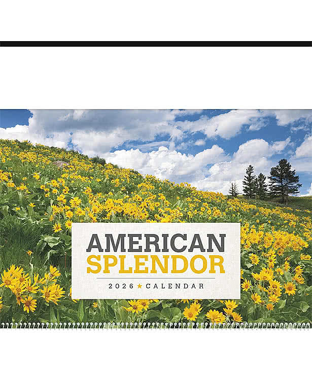 American Splendor Calendar