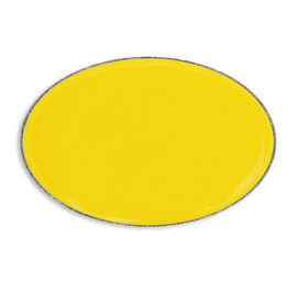 Oval Lapel Pin - Color: Yellow / Silver