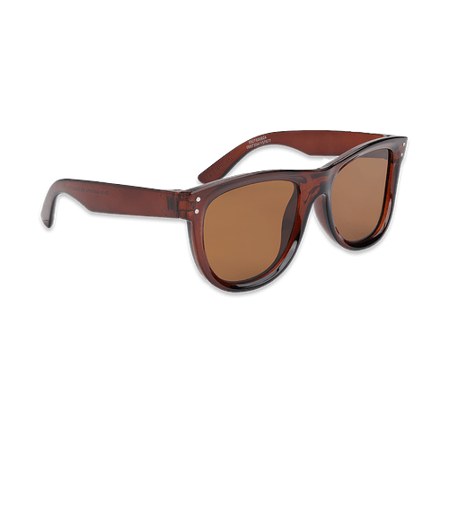 Ravi Recycled Sunglasses in Translucent Brown with Brown